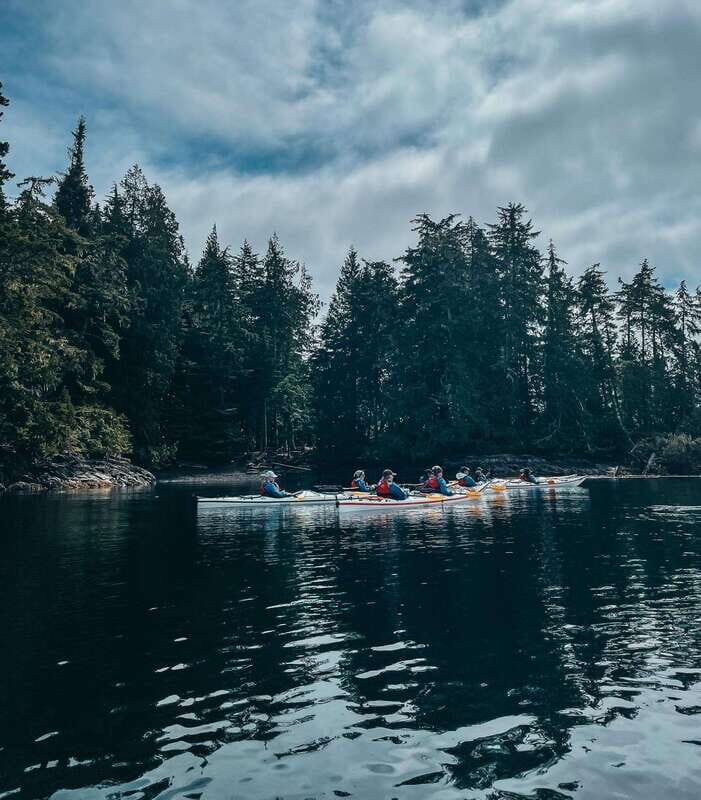 Telegraph Cove: Half-Day Kayaking Tour - A Closer Look at the Telegraph Cove Kayaking Tour