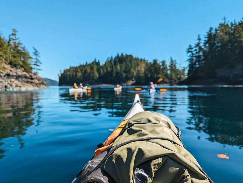 Telegraph Cove: Half-Day Kayaking Tour - Final Thoughts