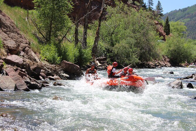 Telluride 1 Day Rafting Trip with Lunch - San Miguel River - A Deep Dive into the Experience