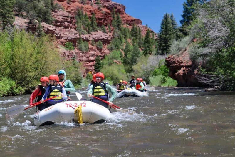 Telluride 1 Day Rafting Trip with Lunch - San Miguel River - Key Points