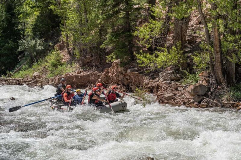 Telluride 1 Day Rafting Trip with Lunch - San Miguel River - An Authentic Colorado Whitewater Experience