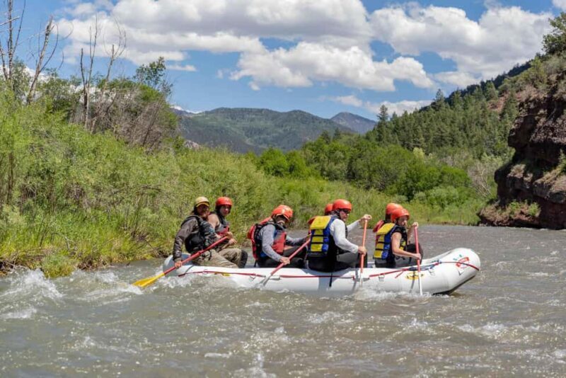 Telluride Afternoon Half Day Rafting Trip - San Miguel River - An Overview of the San Miguel River Rafting Experience