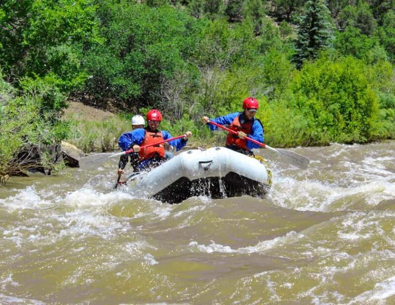 Telluride Afternoon Half Day Rafting Trip - San Miguel River - Who Will Love This Trip?