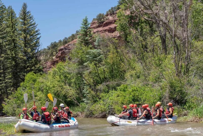 Telluride Afternoon Half Day Rafting Trip - San Miguel River - Final Thoughts