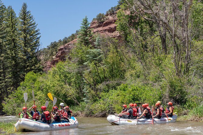 Telluride Afternoon Half Day Rafting Trip - San Miguel River - An Overview of What to Expect on the San Miguel River Rafting Trip