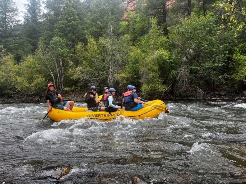 Telluride: Half-Day Rafting on the San Miguel River - An Overview of the Rafting Adventure