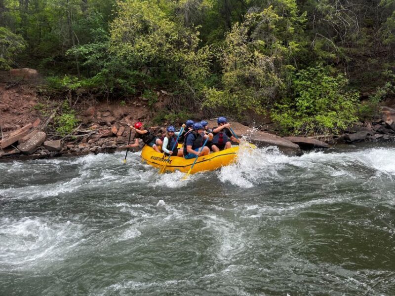 Telluride: Half-Day Rafting on the San Miguel River - What to Expect: The Itinerary in Detail