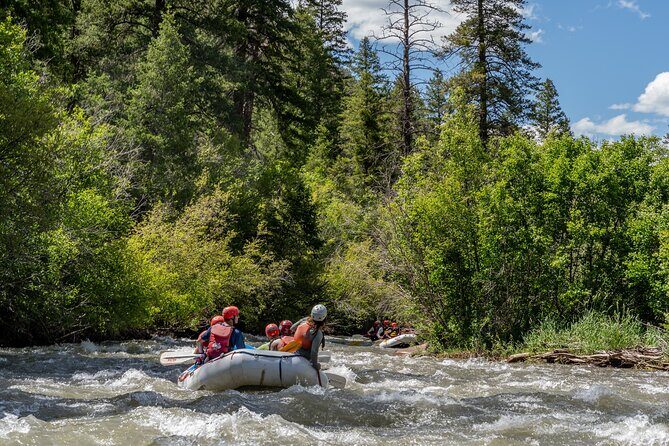 Telluride Morning Half Day Rafting Trip - San Miguel River - Why This Tour Is a Great Choice