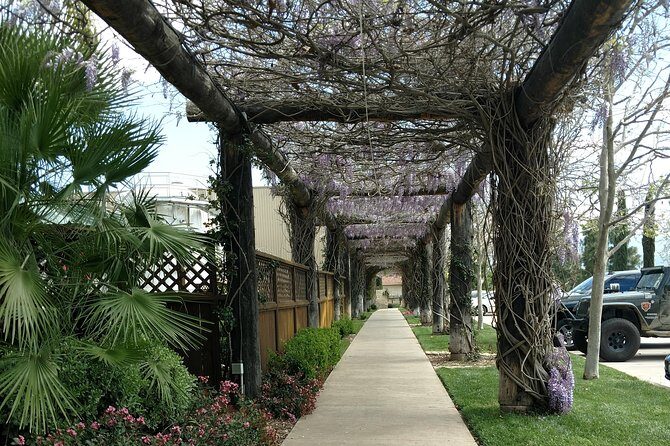 Temecula Valley Wineries and Vineyards Drink and Taste Tour From Orange County - What You Should Know Before Booking