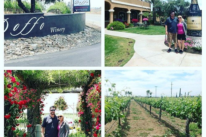 Temecula Valley Wineries and Vineyards Drink and Taste Tour From Orange County - Who Should Consider This Tour?