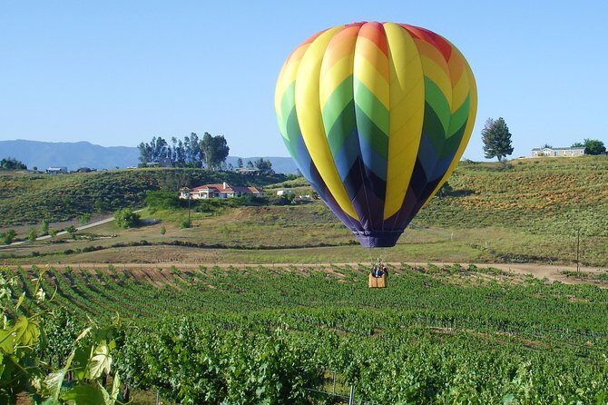 Temecula Wine Country AM Balloon Ride - What the Reviews Reveal