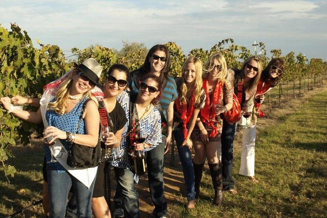 Temecula's Premier Wine Tasting Tour - Authentic Experiences and Guest Feedback