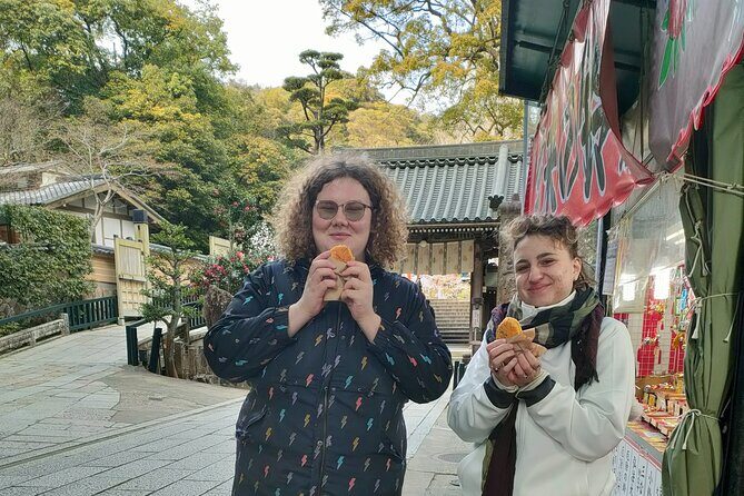 Temple Paths and Manga Dreams - Who Should Consider This Tour?