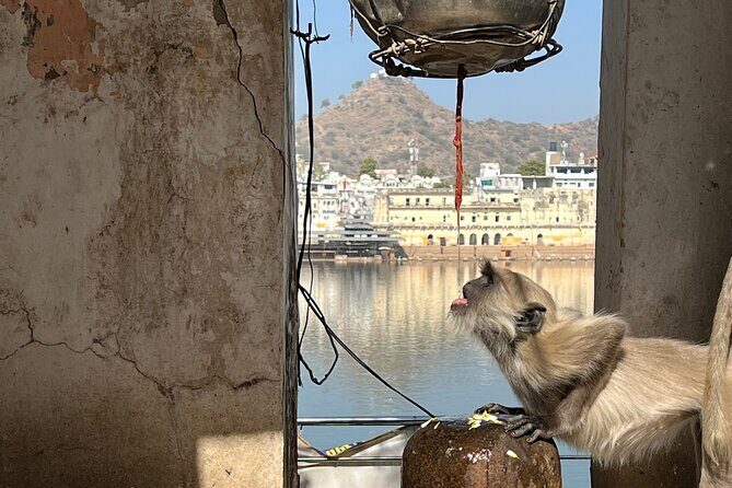 Temples Walk around 52 Ghats ( Spiritual Tour )-The Pushkar Route - Value and Cost Analysis