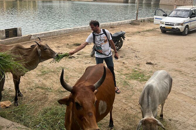 Temples Walk around 52 Ghats ( Spiritual Tour )-The Pushkar Route - Practical Tips for Your Visit