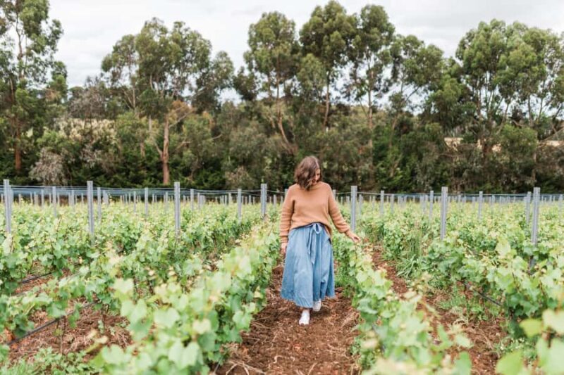 Ten Minutes by Tractor: Fine Wine & Gastronomy Experience - The Itinerary Breakdown