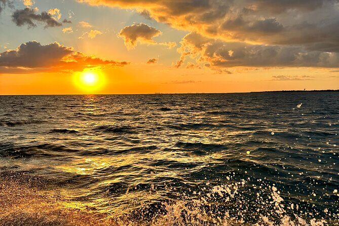 Ten Thousand Islands Sunset, Beach and Eco Tour - An In-Depth Review of the Experience