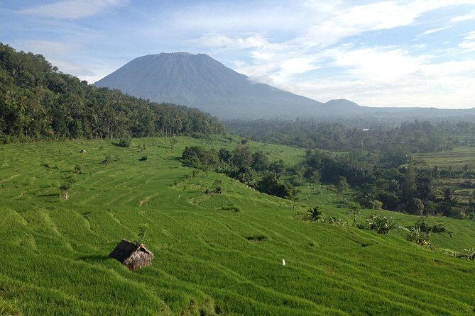 Tenganan Village Rice Field Trekking Tour - A Detailed Look at the Tenganan Village Rice Field Trek