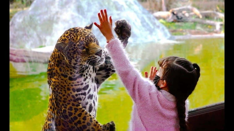 Teotihuacan: Entrance to Animal Kingdom Park; Adventure & Nature - Key Points