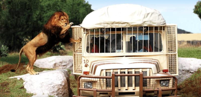 Teotihuacan: Entrance to Animal Kingdom Park; Adventure & Nature - Who Should Consider This Tour?