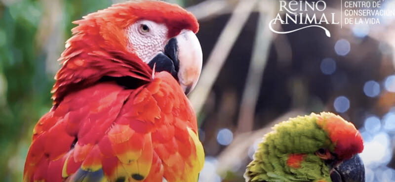 Teotihuacan: Entrance to Animal Kingdom Park; Adventure & Nature - Frequently Asked Questions (FAQs)