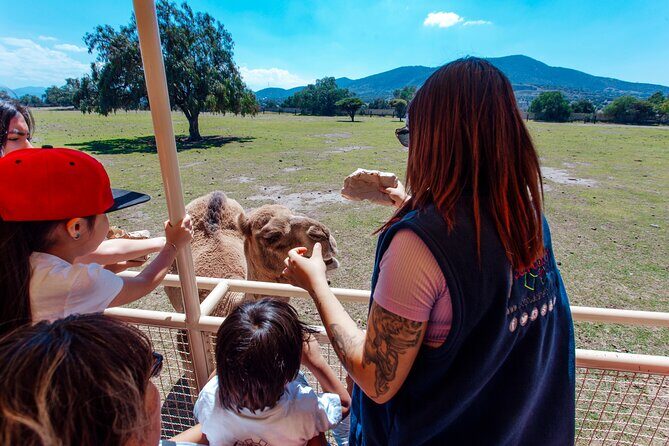 Teotihuacán for kids - Who Will Love This Tour?