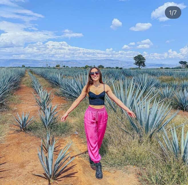 Tequila and Cantaritos Tour from Guadalajara - What To Expect: Practical Details for Your Day