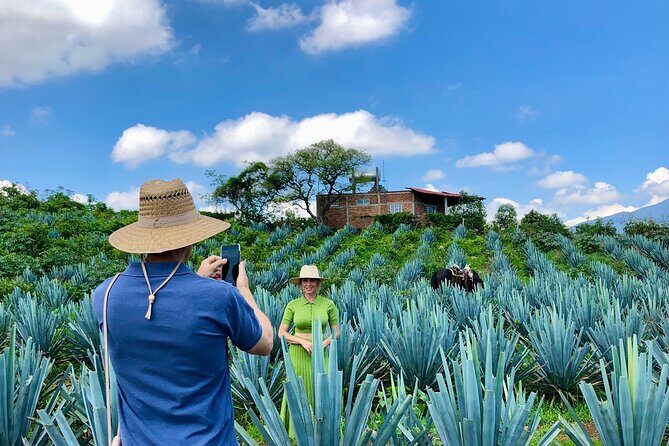 Tequila and Guachimontones Full Day Private Tour - Visiting the Tequila Distillery: Artisanal Craftsmanship