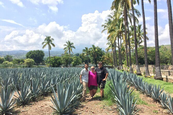 Tequila and Guachimontones Full Day Private Tour - Who Will Love This Tour?