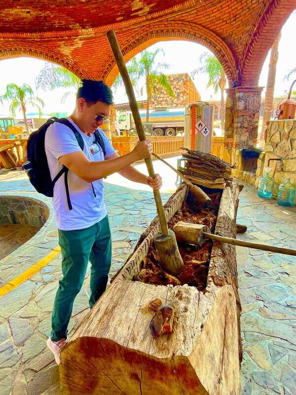 Tequila and Guachimontones: Private Full Day Tour - An Ideal Introduction to Jalisco’s Rich Heritage