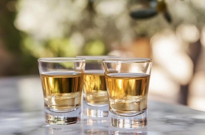 Tequila and Mezcal Tasting in Colonial Mansion Restaurante Diego - Exploring the Experience: Setting and Atmosphere