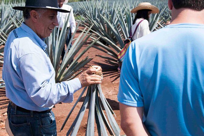 Tequila distillery experience, Jose Cuervo & Tequila Magic Town - What Past Travelers Say
