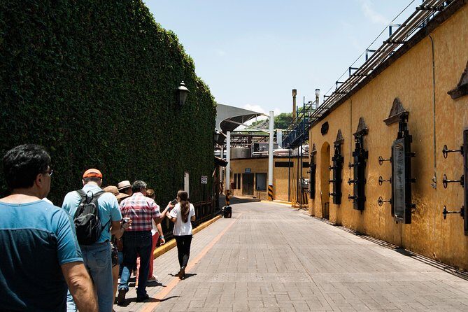 Tequila distillery experience, Jose Cuervo & Tequila Magic Town - Practical Tips for Travelers