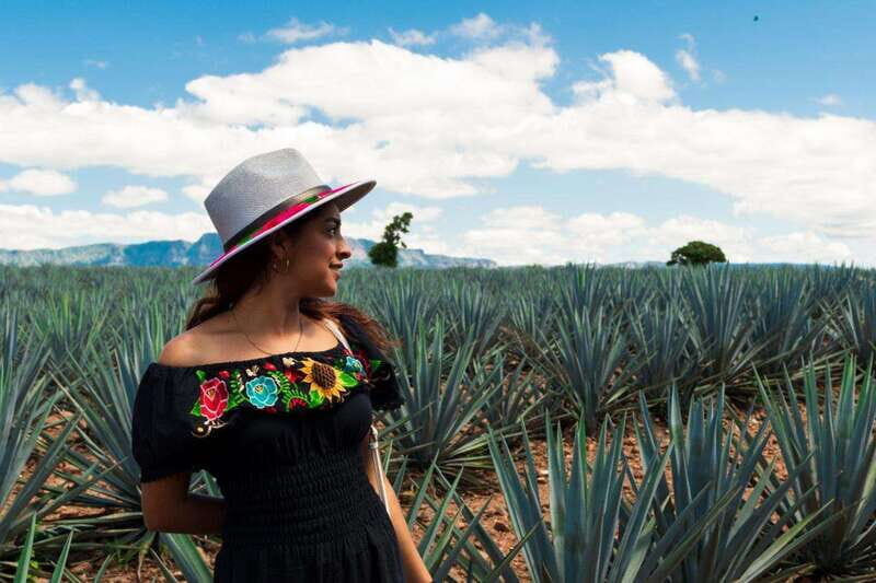 Tequila Full-Day Discovery Tour of Amatitan - Key Points