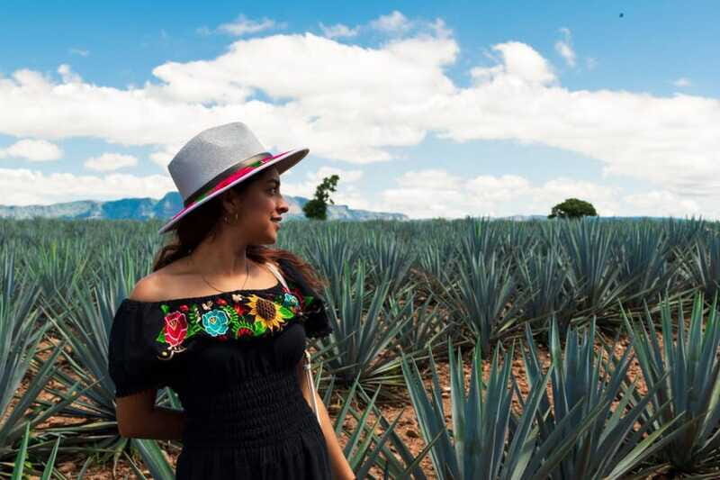 Tequila Full-Day Discovery Tour of Amatitan - Final Thoughts: Is It Worth It?