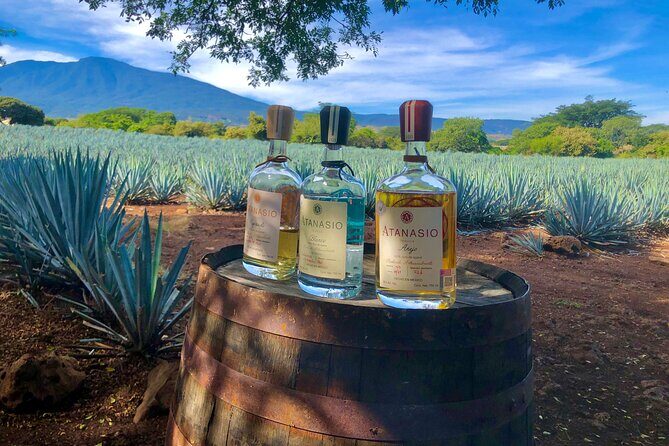 Tequila Full Experience! - The Experience in Context: Who Will Love It?