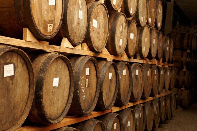 Tequila Jalisco Full Day Tour from Puerto Vallarta - Introduction