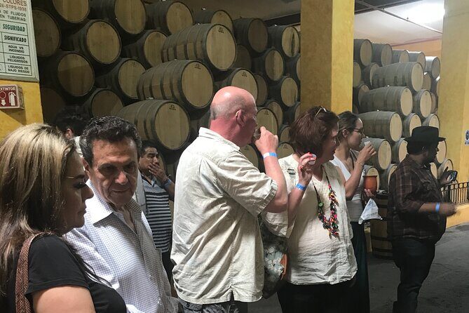 Tequila Jalisco Full Day Tour from Puerto Vallarta - The Sum Up