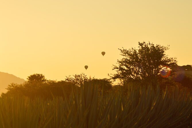 Tequila José Cuervo Tasting Guided Tour from Puerto Vallarta - Who Should Consider This Tour?