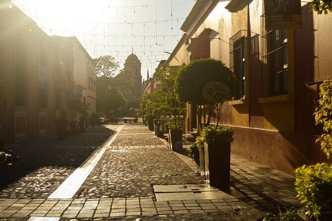 Tequila José Cuervo Tasting Guided Tour from Puerto Vallarta - FAQ