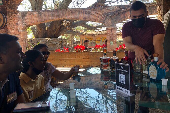 Tequila: Private Half-Day Tour - Who Should Consider This Tour?