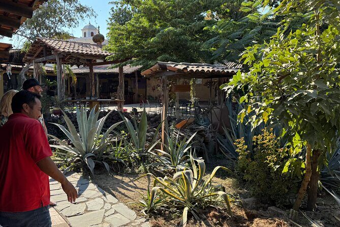 Tequila Tasting Tour in Nuevo Vallarta - FAQ
