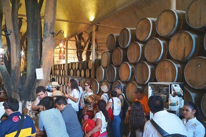 TEQUILA, The Spirit of Mexico PRIVATE TOUR - An In-Depth Look at the Guadalajara Tequila Tour