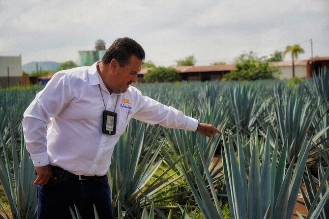 Tequila Tour - The Journey Begins: From Guadalajara to Tequila