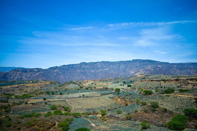 Tequila tour with tasting. - Frequently Asked Questions