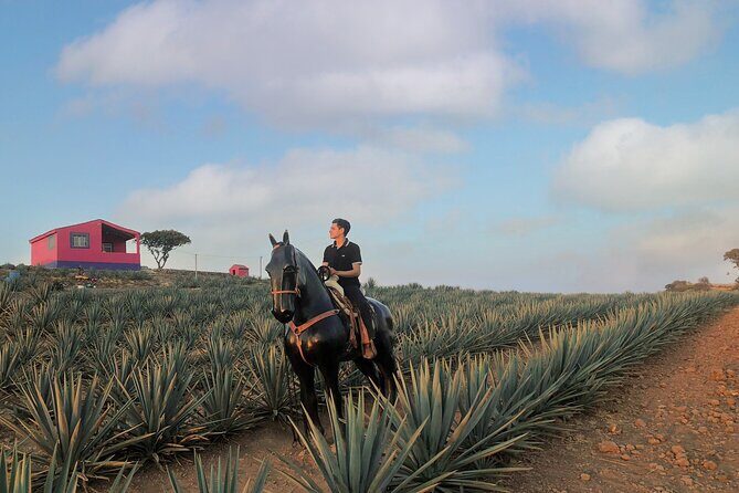 Tequila tour with tasting. - Final Thoughts
