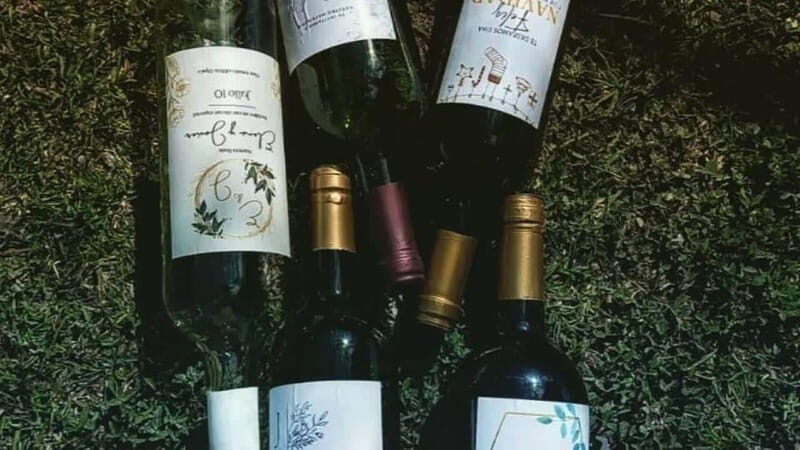 Tequisquiapan: UTV Adventure with Winery and Cheese Tasting - The Itinerary: What You Can Expect