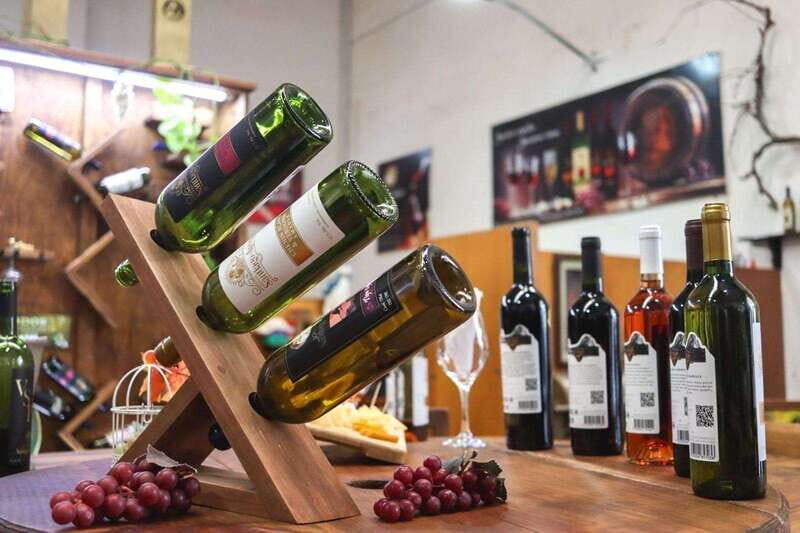 Tequisquiapan: UTV Adventure with Winery and Cheese Tasting - The Experience: What Makes It Stand Out