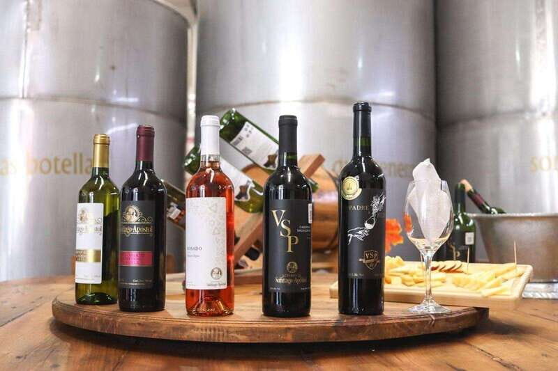 Tequisquiapan: UTV Adventure with Winery and Cheese Tasting - Final Thoughts