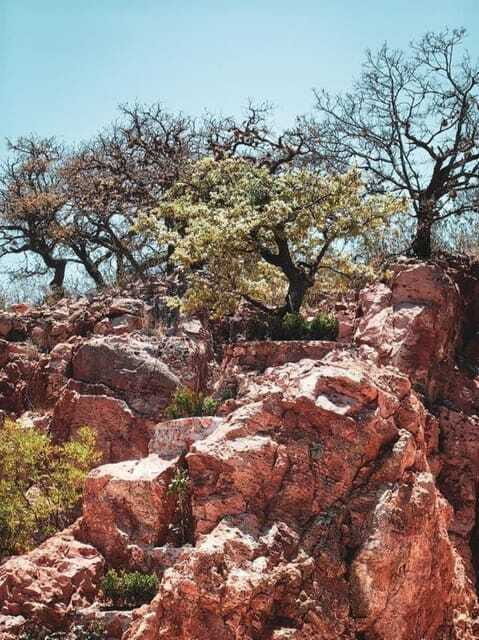 Tequisquiapan: UTV Tour to Opal Mine with Art Workshop - Final Thoughts